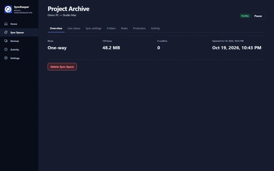 Sync Space details desktop interface preview